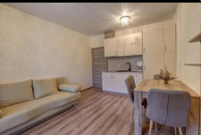 Hotels in Dolni Chiflik